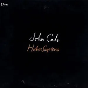 Hoes van Hobosapiens